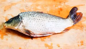 糖醋鯉魚(鯉魚躍龍門)
