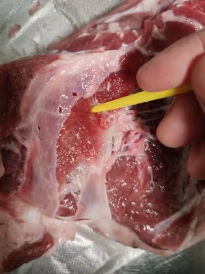 堪比燒烤店裡的羊肉串！