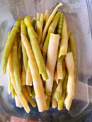 春筍炒肉