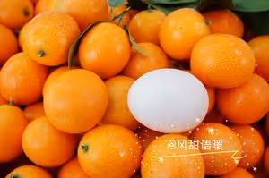 止咳化痰-金桔蜜餞