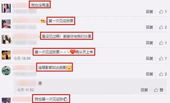 張馨予婚後生活浪漫,二人挽手出遊,網友:真讓人羨慕