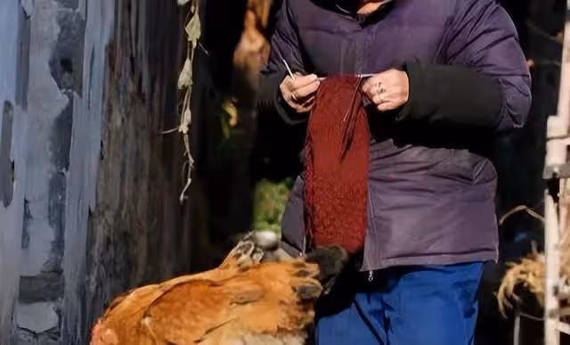 奶奶你是我的媽!80歲拾荒老人靠「撿垃圾」養大「獨臂女棄嬰」,如今25年過去,現狀讓人想哭
