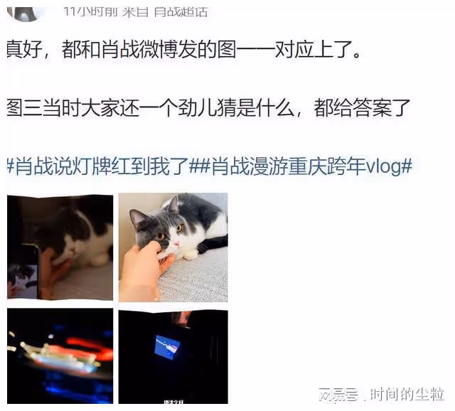 拿放大鏡看肖戰？GUCCI的蛋糕最真實，堅果的毛惹猜測