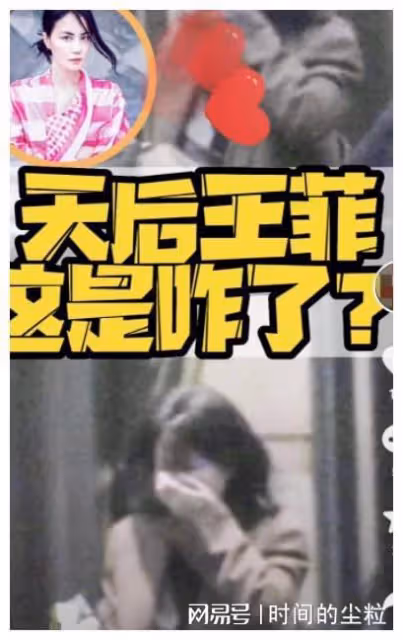 感情生變？網傳謝霆鋒帶愛貓離京，王菲獨自就餐狀態低落似哭過