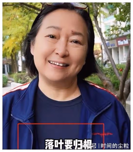 6位定居內地的台灣愛國藝人：有的領大陸身份證，有的回鄉祭祖