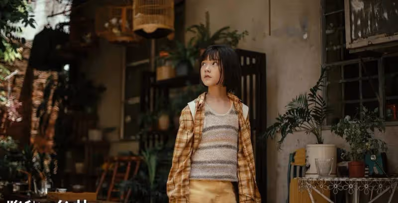 近10年「很火」的五部劇，《琅琊榜》排在最後，你看過哪幾部？