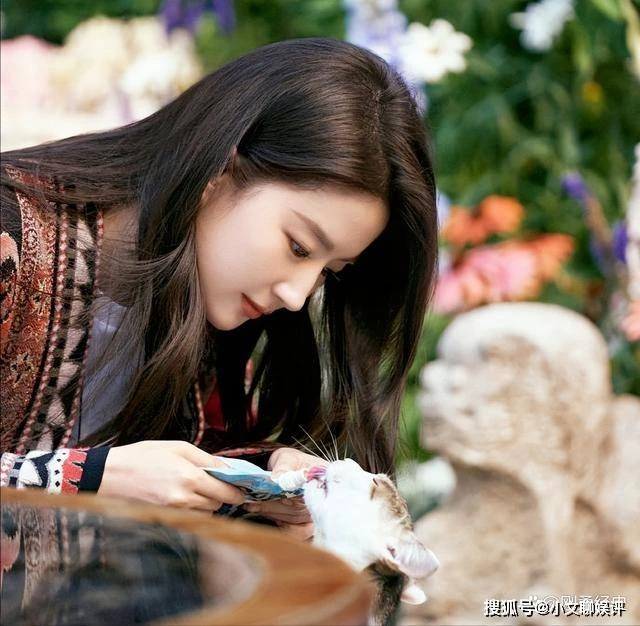 My Image 33