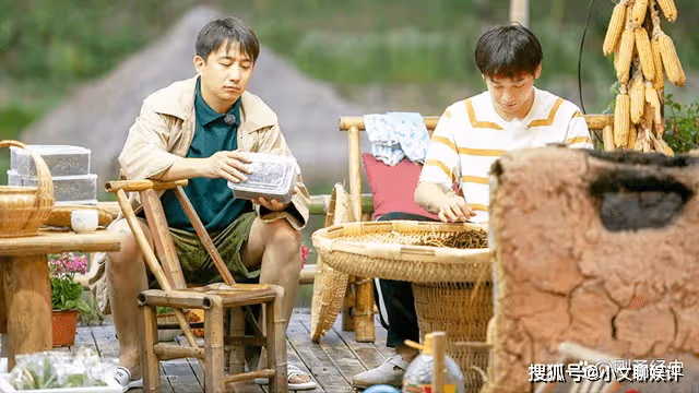 《去有風的地方》神仙姐姐接上地氣,食了人間煙火,咋不香了呢
