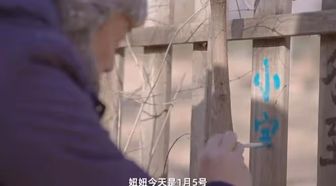 李亞鵬做氣候觀測，親吻女兒臉頰，與海哈金喜煲湯烤紅薯恬淡溫馨