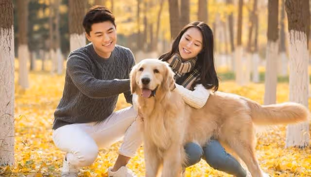 我年入30萬,老婆回娘家卻要騎自行車,直到二舅送來一隻雞