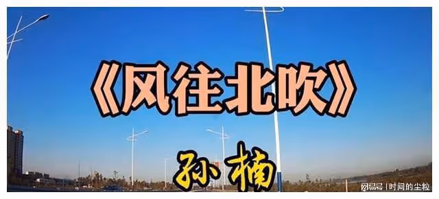 孫楠：「偷摸」娶2婚2離的女人，甘當後爸，事業一落千
