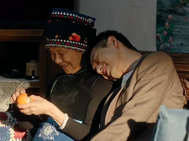 《去有風的地方》和《縱有疾風起》各追8集:一個失望,一個看上癮