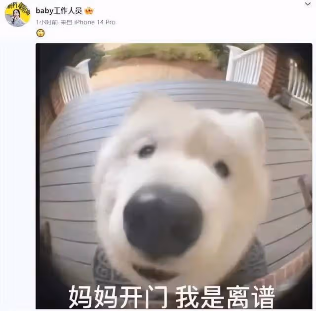 24小時內:娛樂圈1人被家暴,2對情侶熱戀,1人去世,悲喜各不同