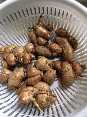 電飯煲窯雞（絕味👍）