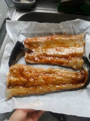 不輸日料店的日式烤鰻