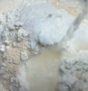 麵食花捲