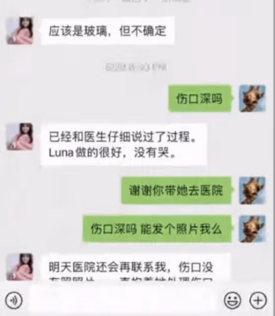 張恆指控鄭爽虐童，被曝因證據不足駁回指控，他計劃告兒童保護局