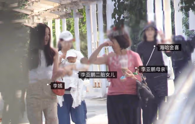 李亞鵬抱小女兒下圍棋，帶她玩電腦引人擔憂，父女倆被調侃像爺孫