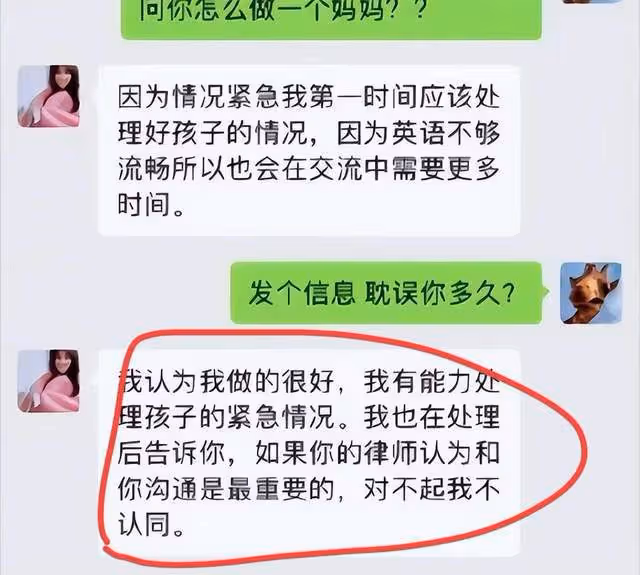 張恆控訴鄭爽虐待兒童後續，他已提起訴訟，孩子受傷照片細節曝光