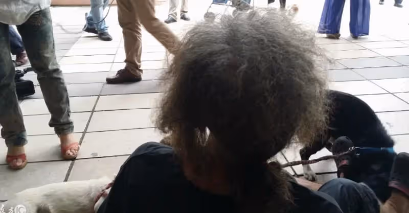 乞丐手中救一小狗，一場怪風狗失蹤，兩月後來一小孩助書生成富商