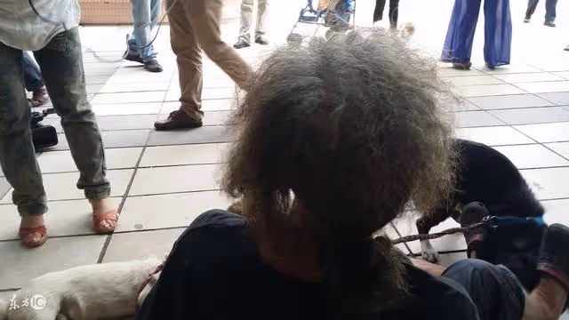 乞丐手中救一小狗,一場怪風狗失蹤,兩月後來一小孩助書生成富商