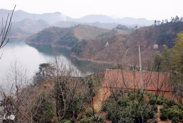 兒子進山遇狼，最後平安歸來，父母臨死之際說他不是人