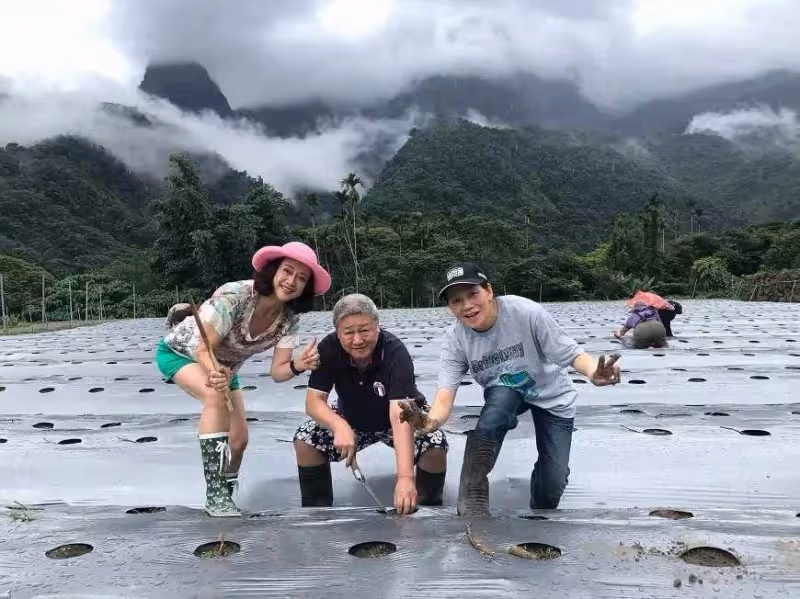 湯蘭花息影30年，笑談超愜意獨居生活，讓兒離家學獨立，今72歲重返部落幫忙，回饋家鄉