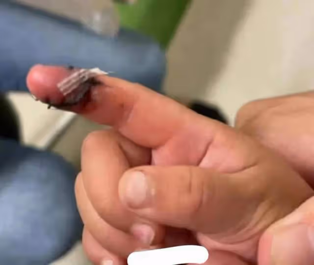 涉嫌虐童？張恆鄭爽的對話讓人窒息，一個壞一個蠢，倆孩子太倒霉