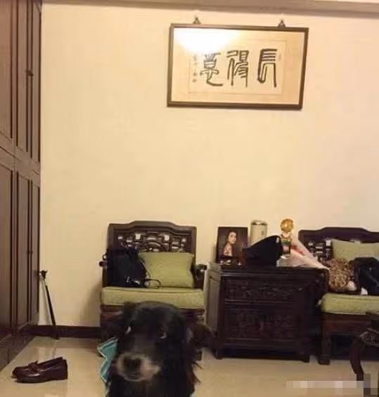 林依晨1.5億豪宅曝光,光看衣櫃就知道價 格不菲,如今40歲已當媽媽卻依舊如同少女