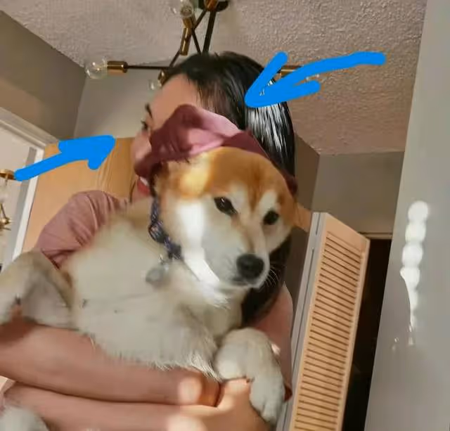 鄭爽曬與兒女的幸福合照,網友卻說她的表情還沒有抱狗合照時開心