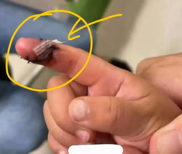 鄭爽曬與兒女的幸福合照,網友卻說她的表情還沒有抱狗合照時開心