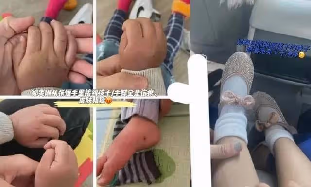 鄭爽曬與兒女的幸福合照,網友卻說她的表情還沒有抱狗合照時開心