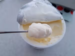 瑞士奶油夾心麵包