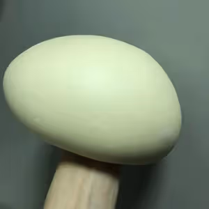 椰蓉吐司-超簡單整形法