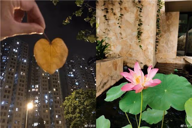 竇驍深夜曬甜蜜合照，力證渣男與自己無關，粉絲：請一直甜蜜下去