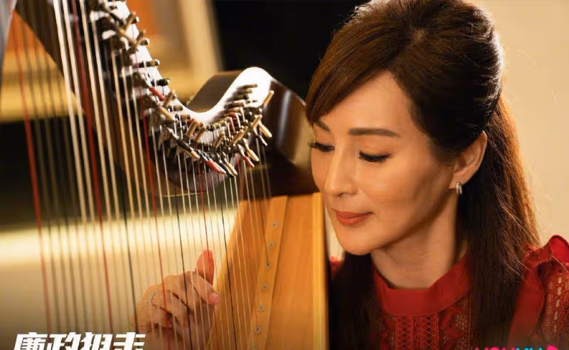 把色賄說成時尚婚姻，卓廷光夫婦沒臉沒皮，黃智賢奉獻視帝級表演