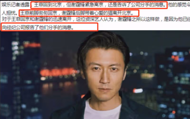 謝霆鋒分手了？獨自抱貓狠心離家，王菲舉動發現端倪！
