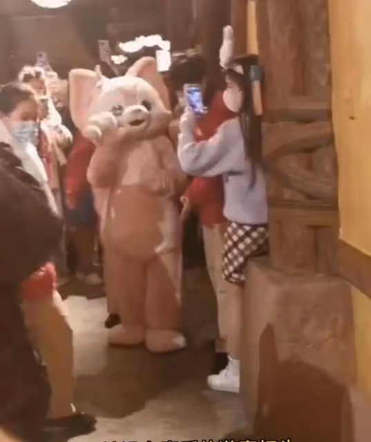 曝迪士尼玲娜貝兒扮演者腦震盪入院！被男遊客猛擊頭部，引起眾怒