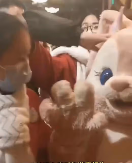 曝迪士尼玲娜貝兒扮演者腦震盪入院！被男遊客猛擊頭部，引起眾怒