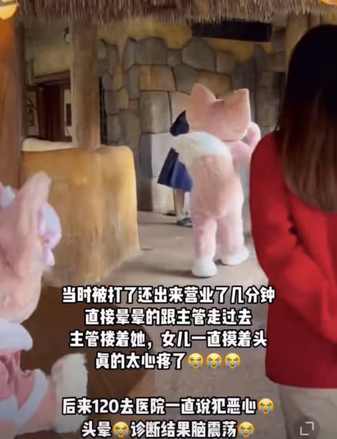 曝迪士尼玲娜貝兒扮演者腦震盪入院！被男遊客猛擊頭部，引起眾怒