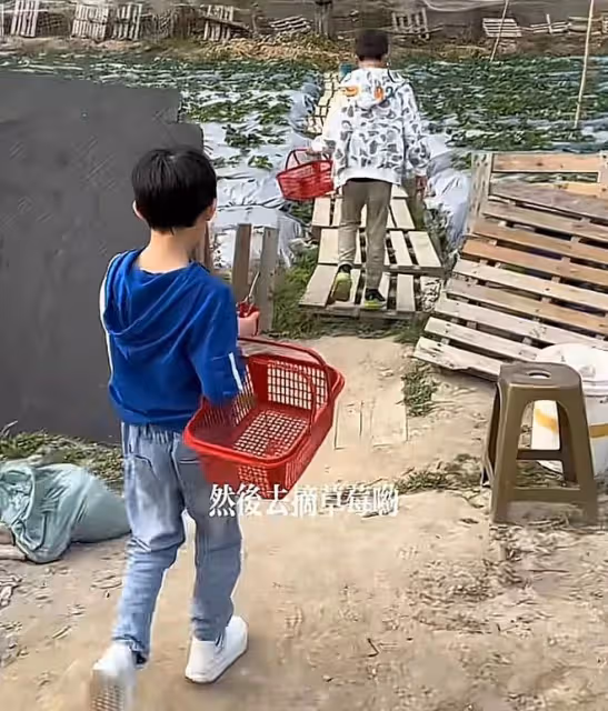 洪金寶迎71歲生日,與妻兒孫子到農場遊玩,坐輪椅鬚髮皆白精神好