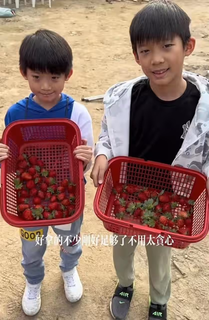 洪金寶迎71歲生日,與妻兒孫子到農場遊玩,坐輪椅鬚髮皆白精神好