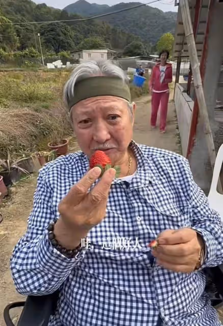 洪金寶慶71歲生日頭髮花白，獲孫子送手繪卡片，58歲妻子罕見出鏡