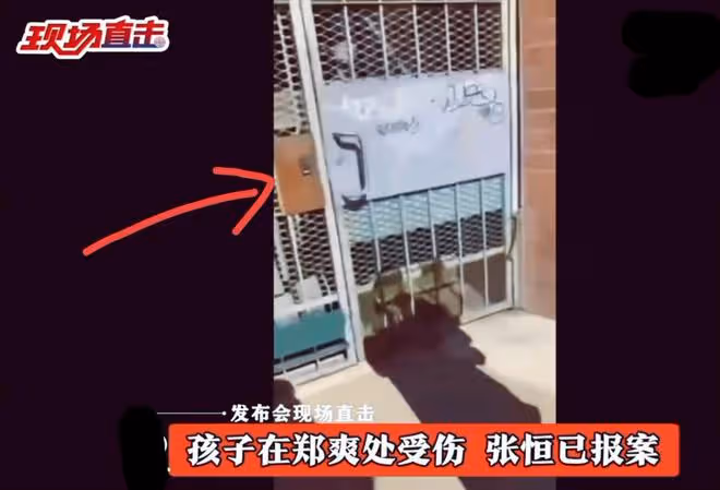鄭爽美國生活曝光：住別墅申請低保，信用卡套現，不敢跟明星借錢