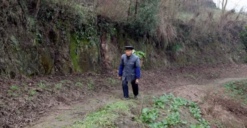 村頭女娃無人問，老頭抱她回家卻被兒媳趕出，二十年後兒媳跪下喊爹