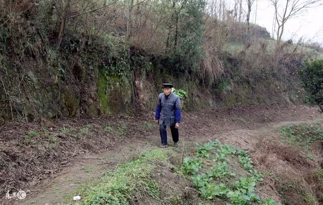 村頭女娃無人問，老頭抱她回家卻被兒媳趕出，二十年後兒媳跪下喊爹