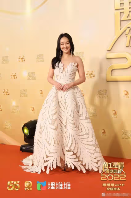 TVB紅毯眾多美女雲集,不畏寒冷穿黑絲短裙露長腿,身材凹凸有致