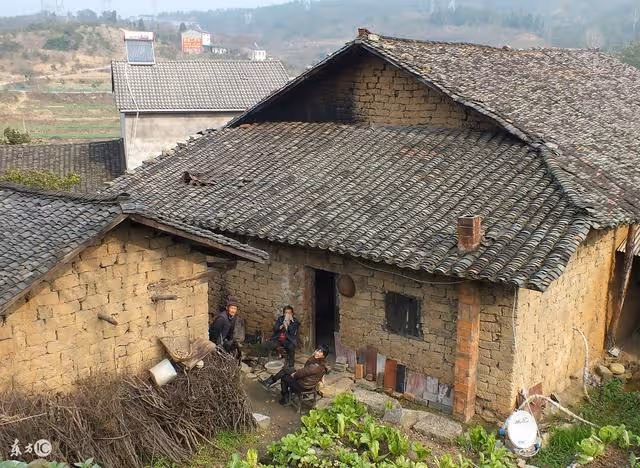 兒媳婦對婆婆動了手，唯一兒子卻是十多年沒有叫媽