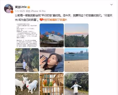 曾舜晞、梁潔《我可能遇到了救星》收官，德塔文及V榜數據匯總
