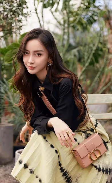 楊穎的娛樂圈生涯